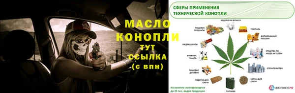 МДПВ Бородино