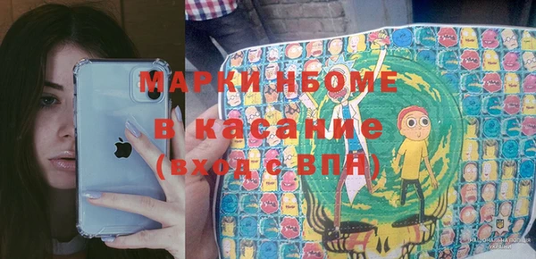 МДПВ Бородино