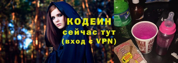 МДПВ Бородино